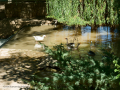 Parque de Aranda