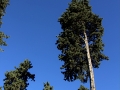 Image00002