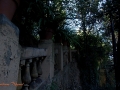 Image00003