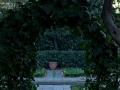 Image00004