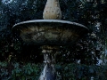Image00005