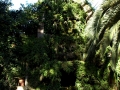 Image00009