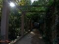 Image00012