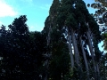 Image00013