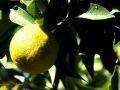 Image00015