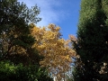 Image00017