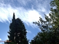 Image00018