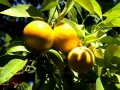 Image00019