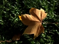 Image00027