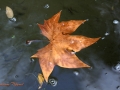 Image00043