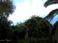 Image00046