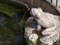 Image00047