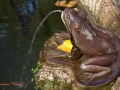 Image00048