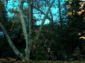 Image00050