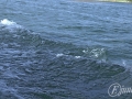 2014-06-07 17h12m31.jpg