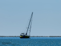 Paseo en barca