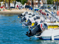 Paseo en barca