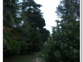 20140329_08-Pedralbes.jpg