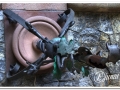 20140329_12-Pedralbes.jpg