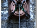 20140329_15-Pedralbes.jpg