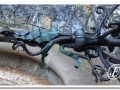 20140329_17-Pedralbes.jpg
