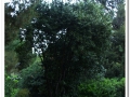 20140329_27-Pedralbes.jpg