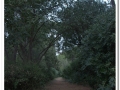 20140329_28-Pedralbes.jpg