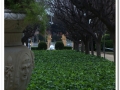 20140329_41-Pedralbes.jpg
