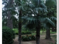 20140329_45-Pedralbes.jpg