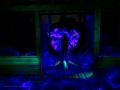 1_2020-01-25_03