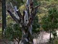 P2090002