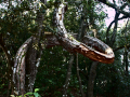 P2090012