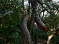 P2090013