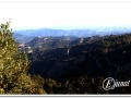 20140308_02-Pins cargolats.jpg