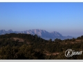 20140308_03-Pins cargolats.jpg