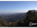 20140308_04-Pins cargolats.jpg