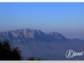 20140308_05-Pins cargolats.jpg