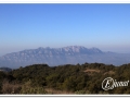 20140308_06-Pins cargolats.jpg