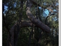 20140308_17-Pins cargolats.jpg