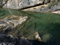 Pont del Pedret