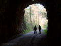 Pont del Pedret