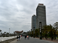 P4210007