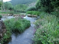 2014-08-04 10h58m59.jpg