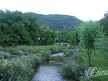 2014-08-04 10h59m48.jpg