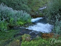 2014-08-04 11h17m10.jpg