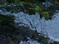 2014-08-04 11h17m51.jpg