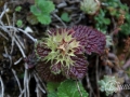 2014-08-04 11h30m45.jpg