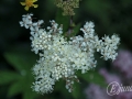 2014-08-04 11h33m36.jpg