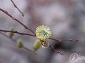 2015-03-14 12h05m12.jpg