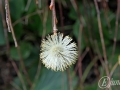 2015-03-14 12h05m52.jpg